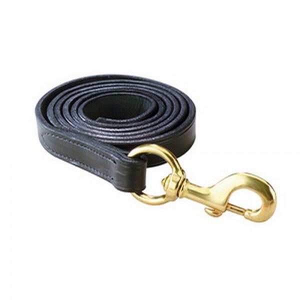 Perri's Leather Lead with Brass Snap